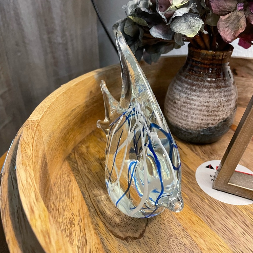 Glass Fish - Picture 8 of 11